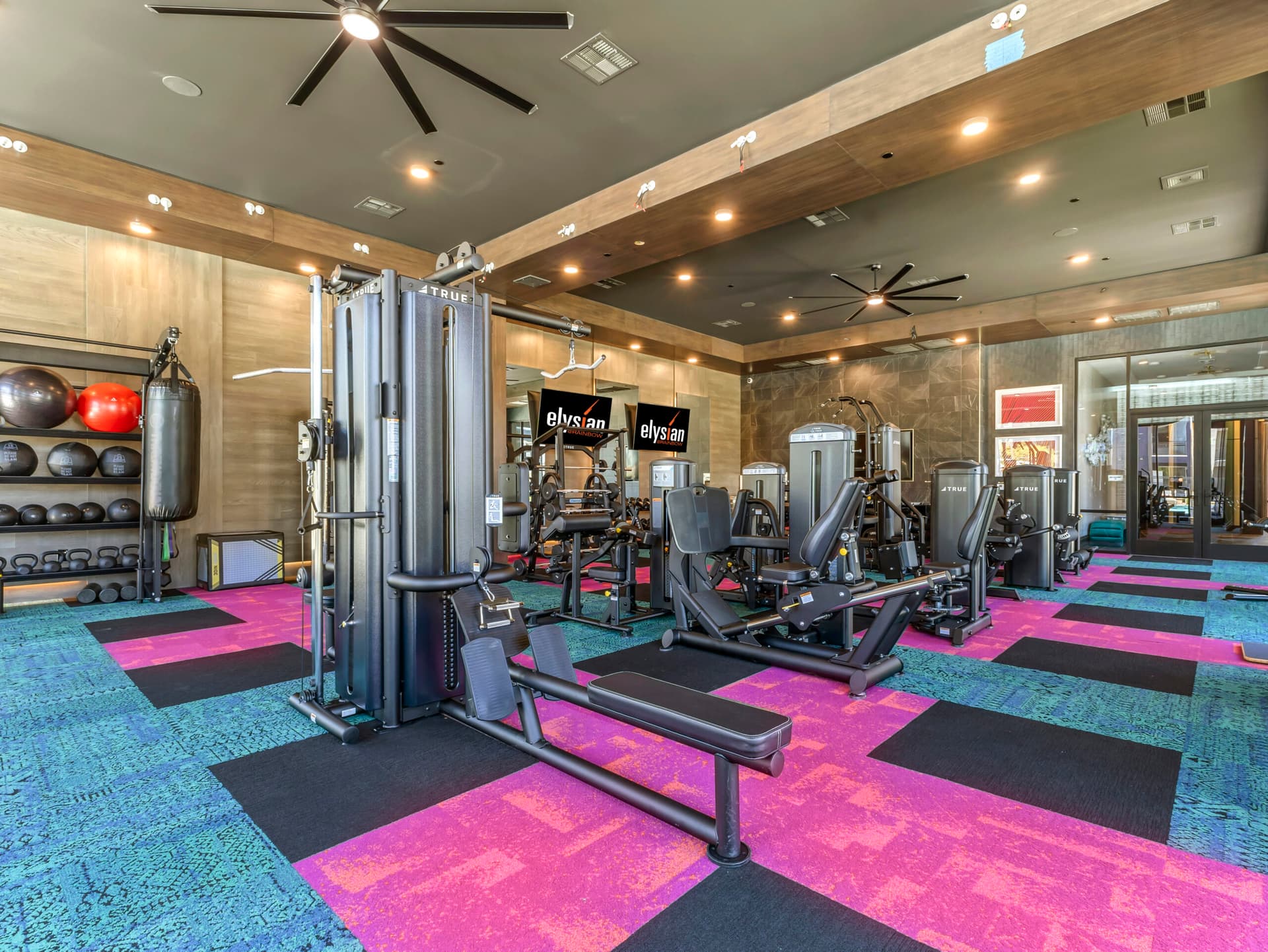 rainbow gym