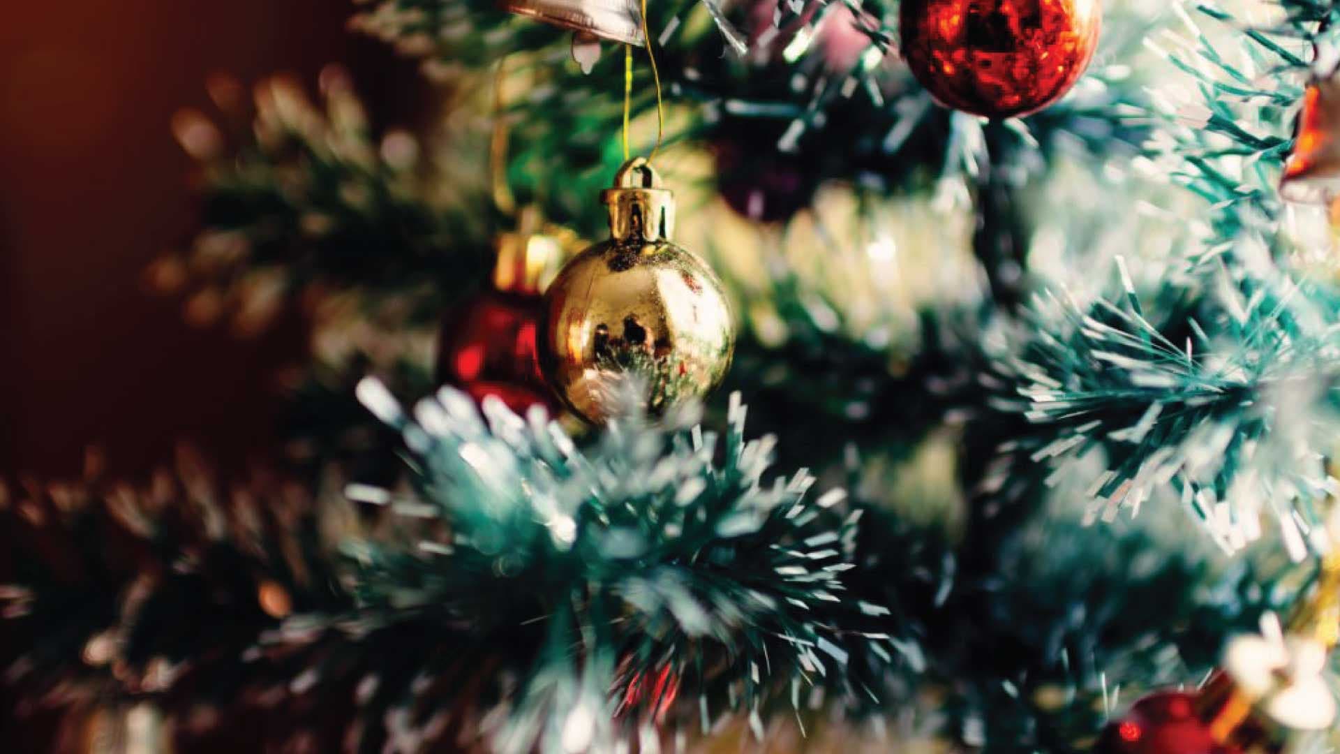 Elysian Living Holidays Header
