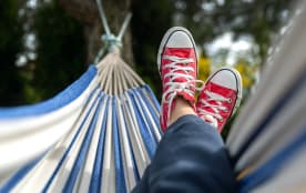 Hammock Farm