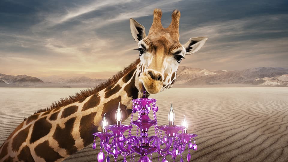 Apartments in Henderson NV Elysian at The District