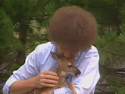 elysianliving-conservation-gif