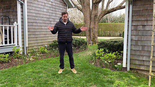 elysianliving-green-gif