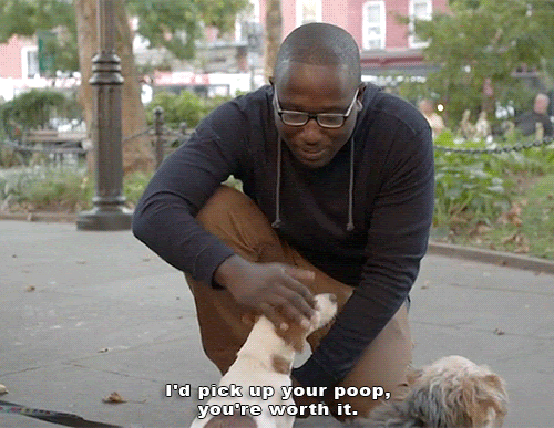 elysianliving-petfriendly-gif