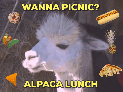 Wanna Picnic?