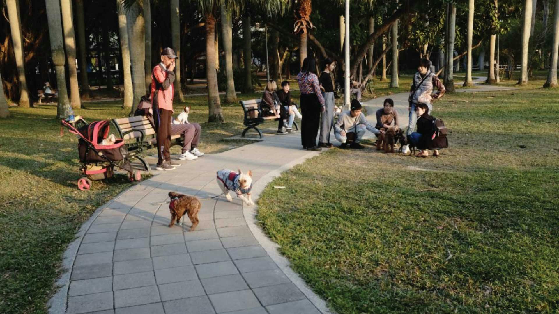 Elysian Living Dog Park Header