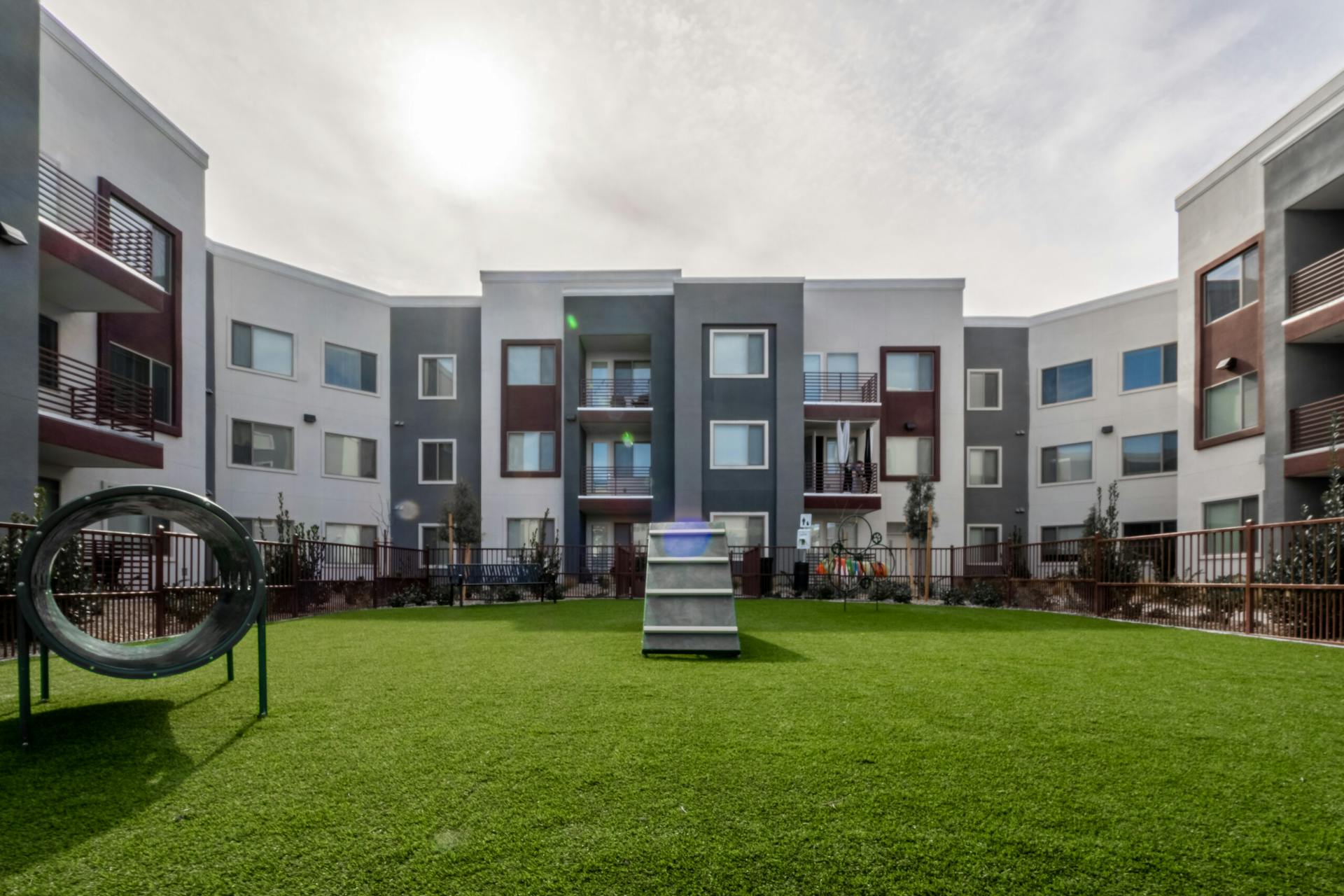 elysian living apartments with dog park