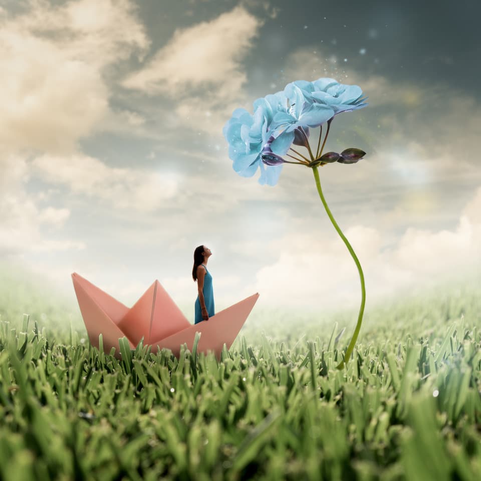 Dreams
